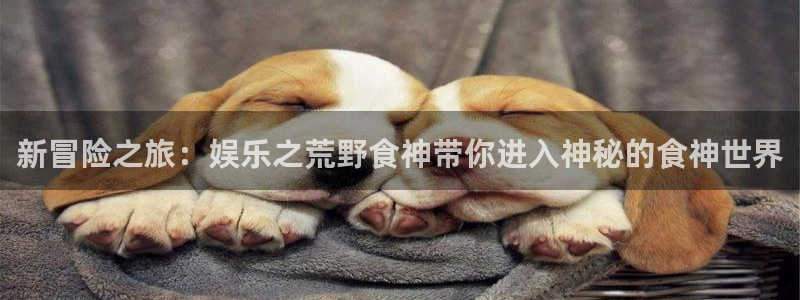 幸运彩3：新冒险之旅：娱乐之荒野食神带你进入神秘的食神世界