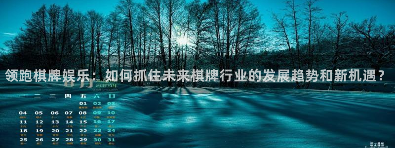 幸运彩体育代理申请流程：领跑棋牌娱乐：如何抓住未来棋牌行业的发展趋势和新机遇？