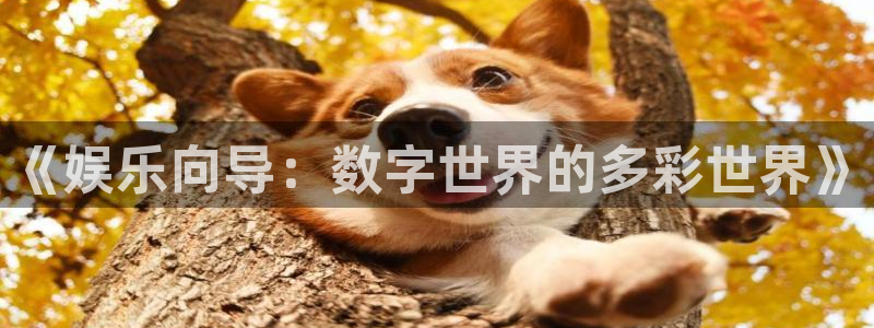 幸运彩体育凯捷平台招商：《娱乐向导：数字世界的多彩世界》
