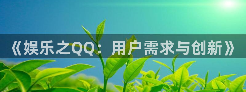 福建幸运彩机电股份公司：《娱乐之QQ：用户需求与创新》
