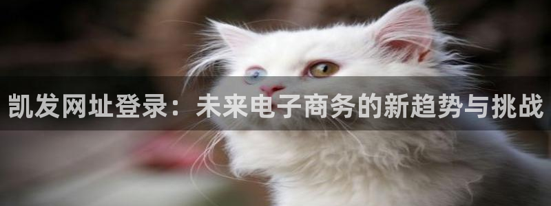 幸运彩k：凯发网址登录：未来电子商务的新趋势与挑战