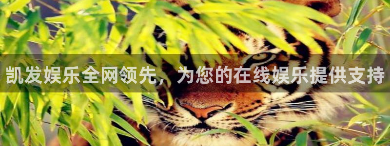 幸运彩官网：凯发娱乐全网领先，为您的在线娱乐提供支持