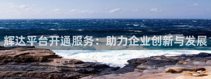 幸运彩平台注册入口：辉达平台开通服务：助力企业创新与发展