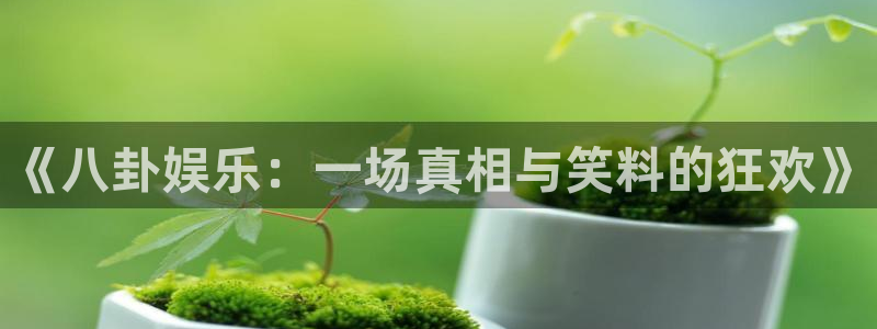 幸运彩体育4：《八卦娱乐：一场真相与笑料的狂欢》