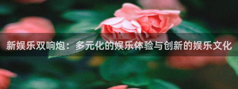 幸运彩体育网页版入口：新娱乐双响炮：多元化的娱乐体验与创新的娱乐文化