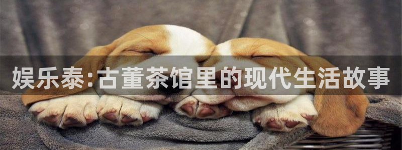 幸运彩体育免费注册入口：娱乐泰:古董茶馆里的现代生活故事