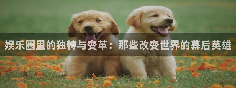 幸运彩主管：娱乐圈里的独特与变革：那些改变世界的幕后英雄