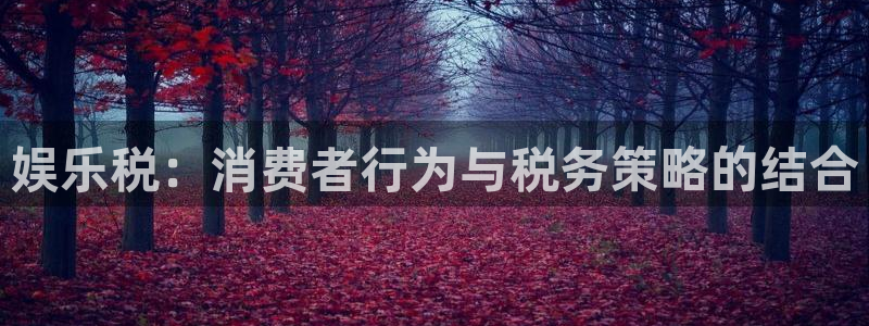 幸运彩体育：娱乐税：消费者行为与税务策略的结合