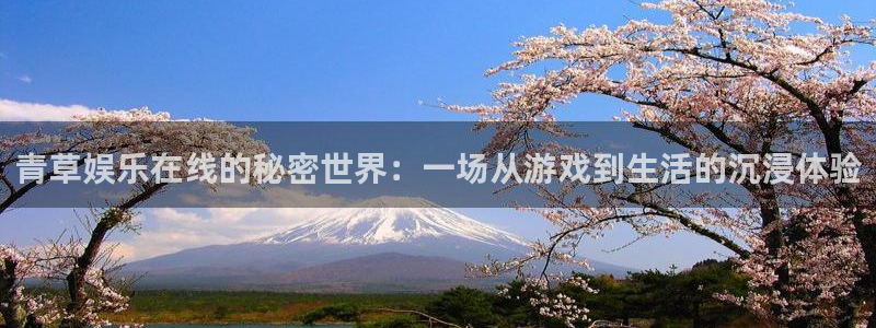 幸运彩4开户：青草娱乐在线的秘密世界：一场从游戏到生活的沉浸体验