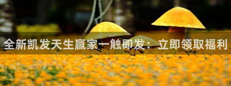 幸运彩股份：全新凯发天生赢家一触即发：立即领取福利