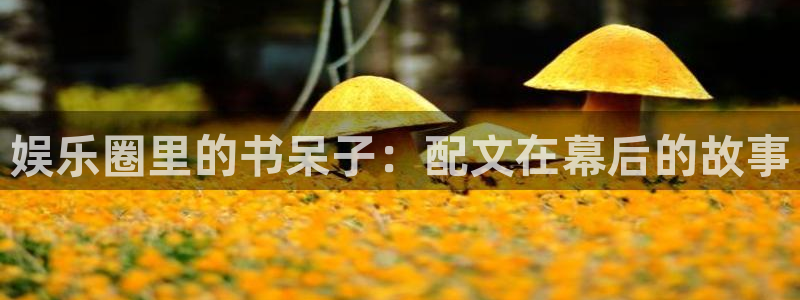 幸运彩3登录：娱乐圈里的书呆子：配文在幕后的故事